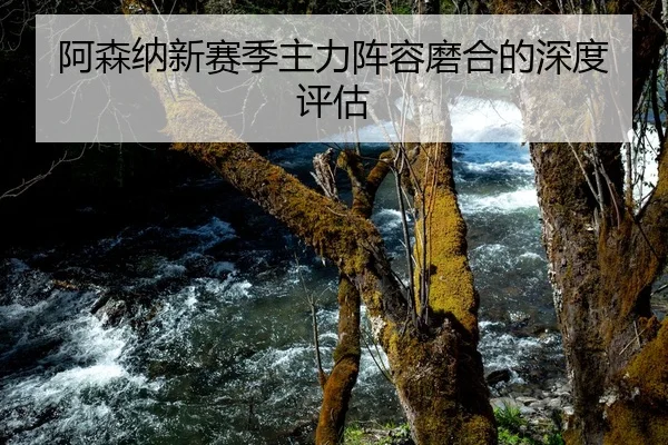 阿森纳新赛季主力阵容磨合的深度评估